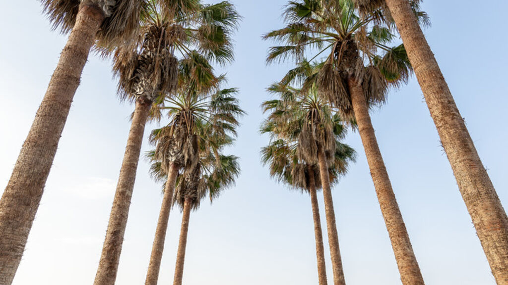 Porto Bello Beach