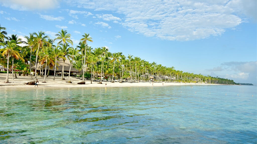 Barcelo Bavaro Beach