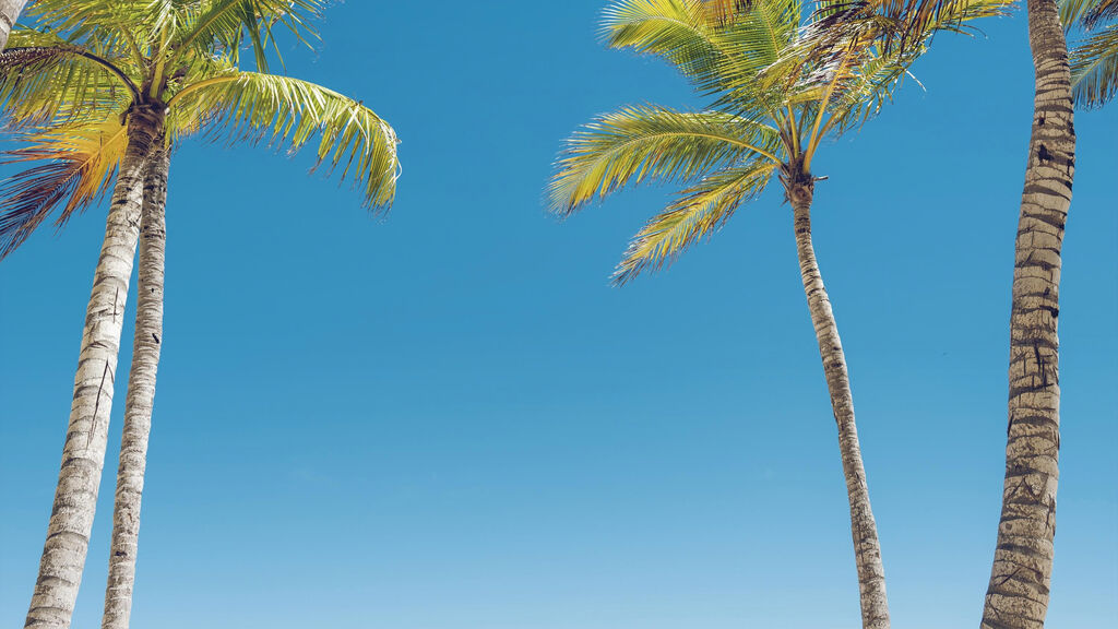 Barceló Bávaro Palace