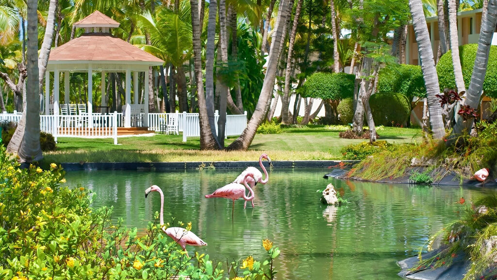 Catalonia Bavaro Beach & Golf Resort