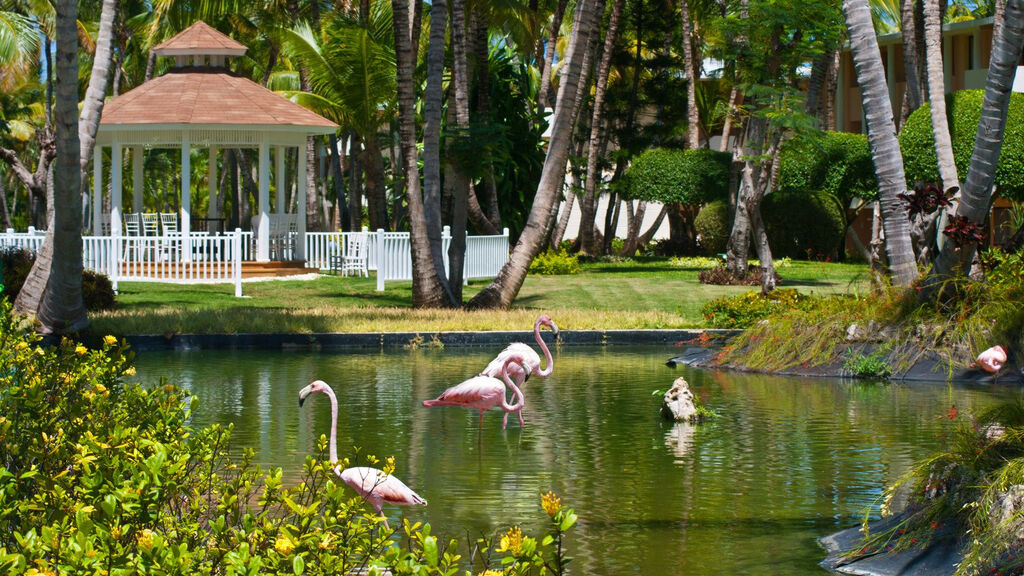 Catalonia Bavaro Beach & Golf Resort