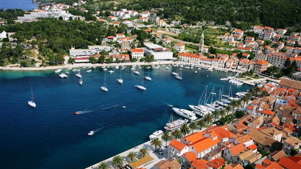 Delfin Hvar