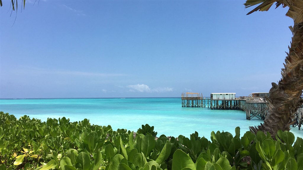 Essque Zalu Zanzibar