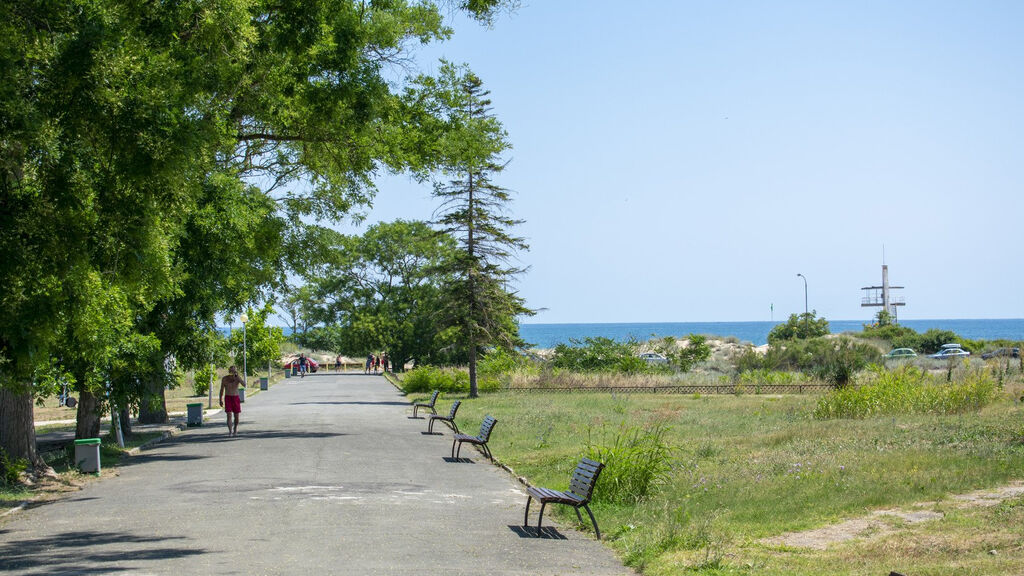 Forest Beach