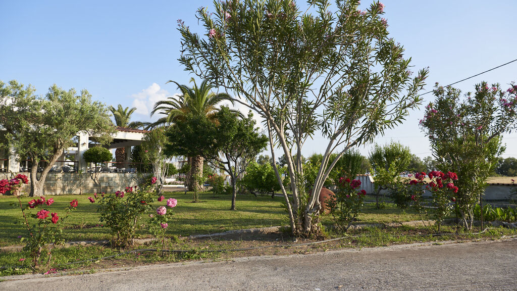 Kalloni Bay