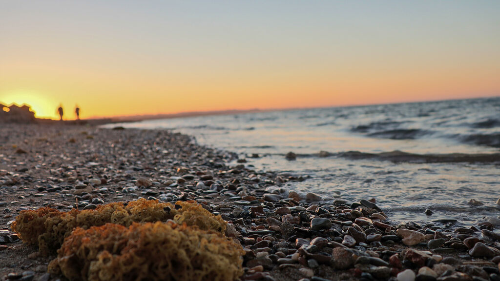 Lazuli Marsa Alam