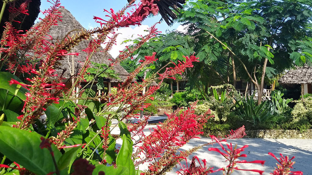 Marafiki Bungalows