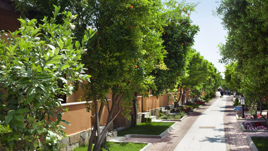 Bungalows Özlem Garden