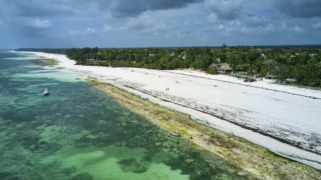 Papillon Lagoon Reef