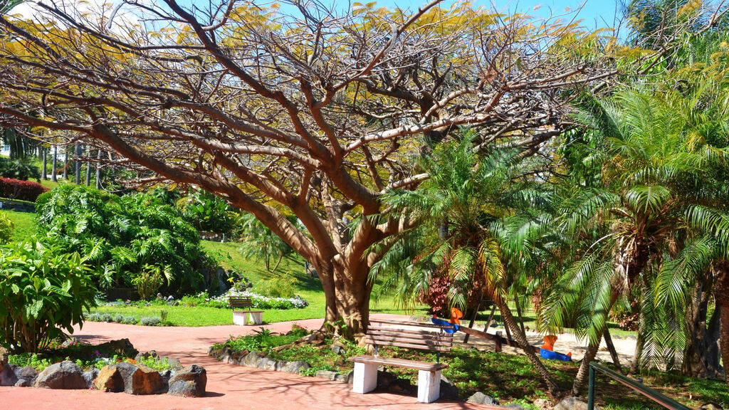 Parque Vacacional Eden