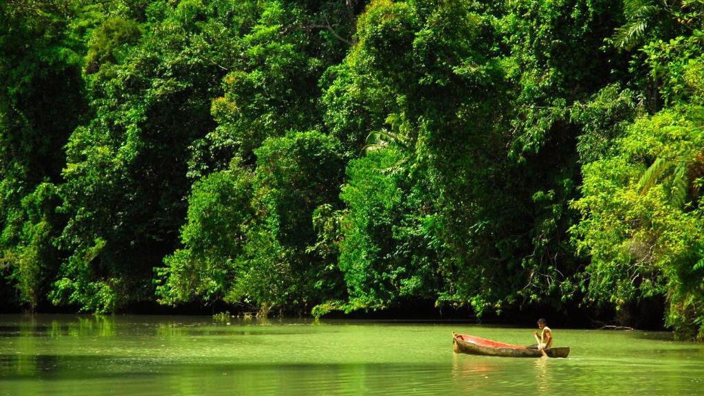 Playa Nicuesa Rainforest Lodge