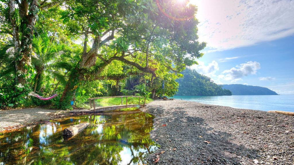 Playa Nicuesa Rainforest Lodge