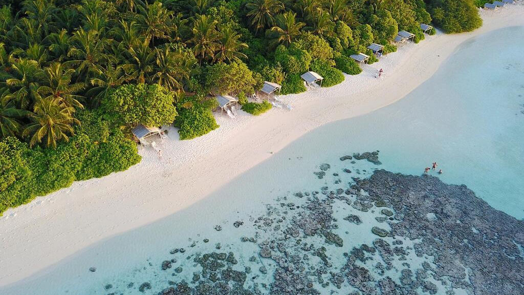 Plumeria Maldives