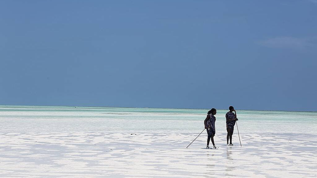 Tulia Zanzibar Unique Beach Resort