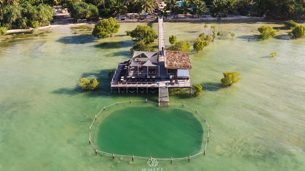 White Paradise Zanzibar