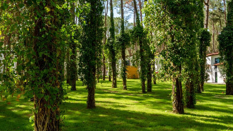 Náhled objektu Club Salima, Kemer, Turecká riviéra, Turecko