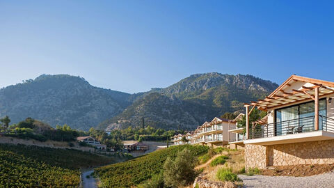 Náhled objektu Gillham Vineyard, Kyrenia (Girne), Severní Kypr (turecká část), Kypr