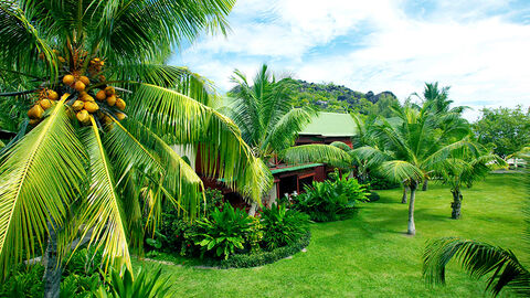 Náhled objektu Paradise Sun, Praslin, Seychely, Afrika