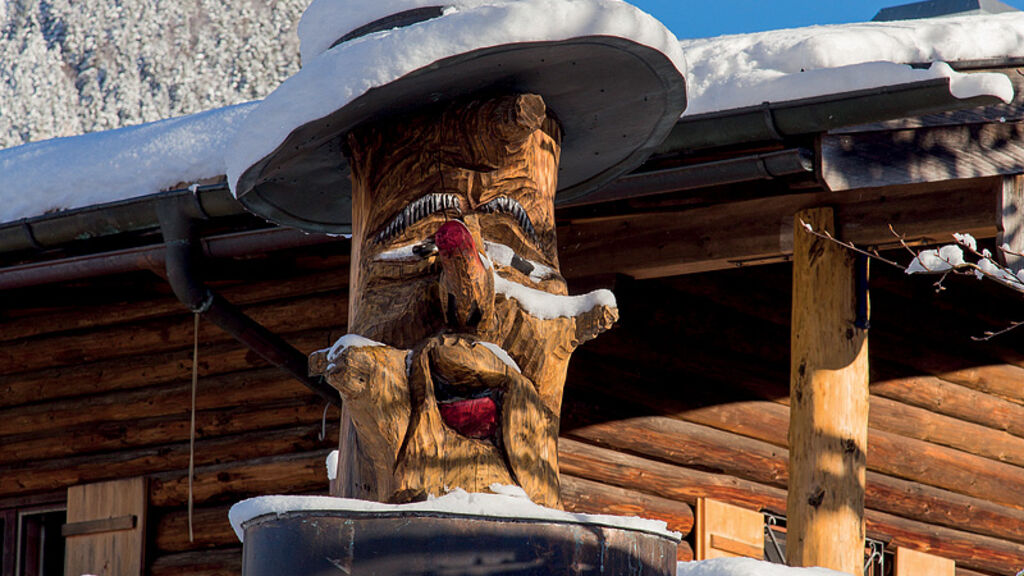 Alpenresidenz Buchenhöhe