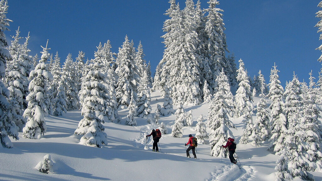 Alpin Resort Erzberg se skipasem