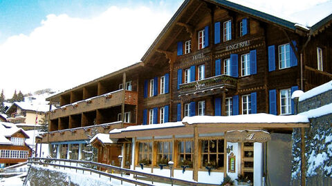 Náhled objektu Jungfrau Lodge, Grindelwald, Jungfrau, Eiger, Mönch Region, Švýcarsko