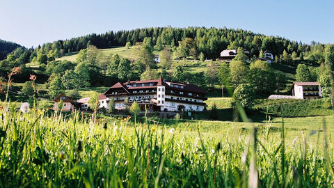 Náhled objektu Stigenwirth, Krakauebene, Murau / Lachtal, Rakousko